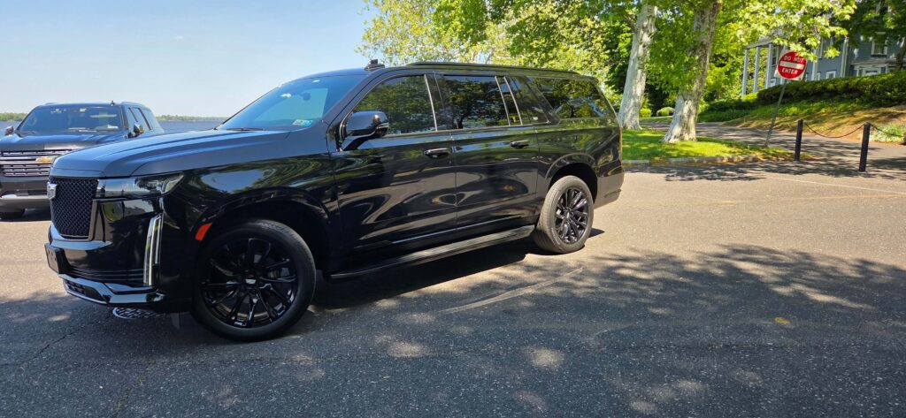 manayunk limo service